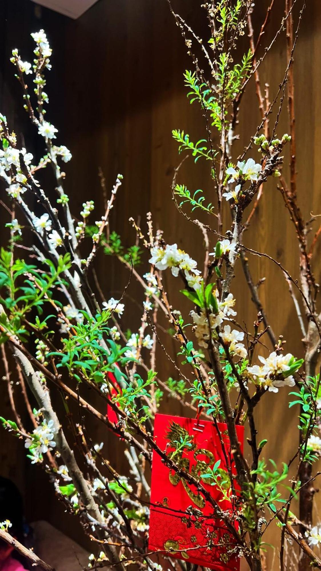 Rosa Zen Hotel 3*